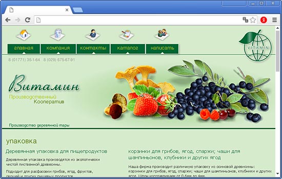 Сделать Сайт для ПК «Витамин» Сделать Сайт для ПК «Витамин»